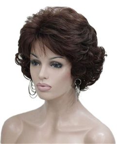 Wig store-Curly-Aimole Short Curly Synthetic Wigs Full Capless Hair Women’s Thick Wig for Everyday 2