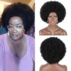Wig store-Curly-Allbell Short Curly Wigs for Women Deep Wave Red Brown Bob Wig with Bangs 70s Afro Wigs for Daily Cosplay Use Heat Resistant Syntehtic Hair Replacement 5