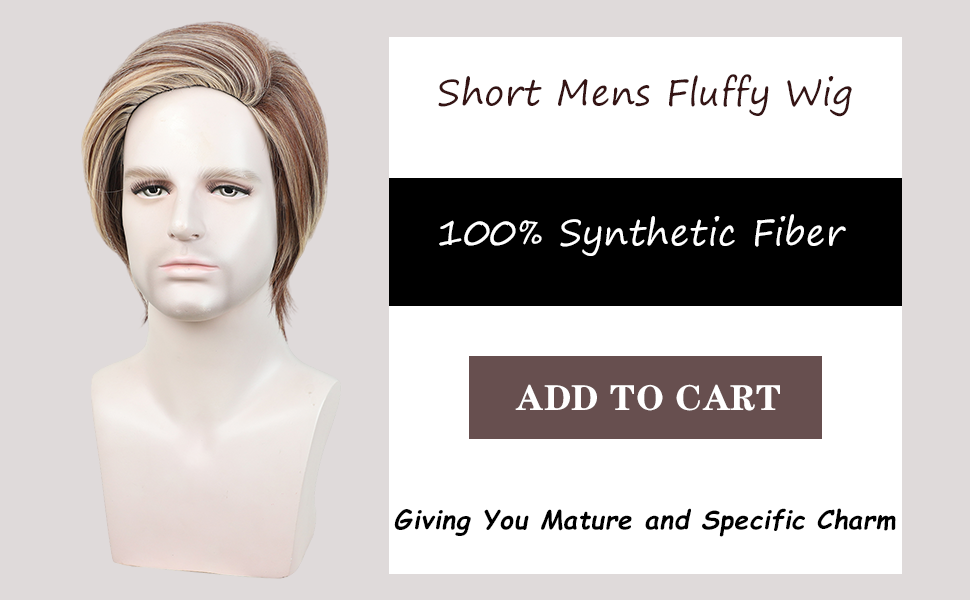 mens wig
